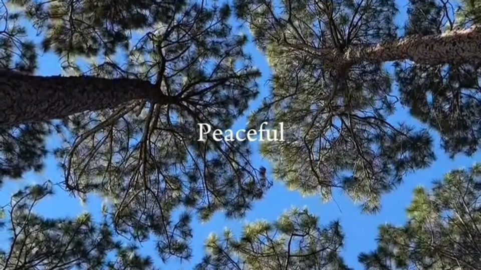 5 minute meditation